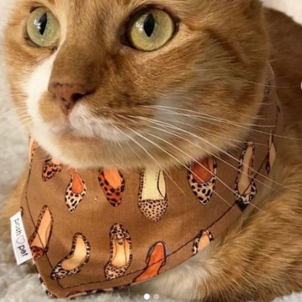Pet Bandanas for small dog or cat. Tie on reversible cotton